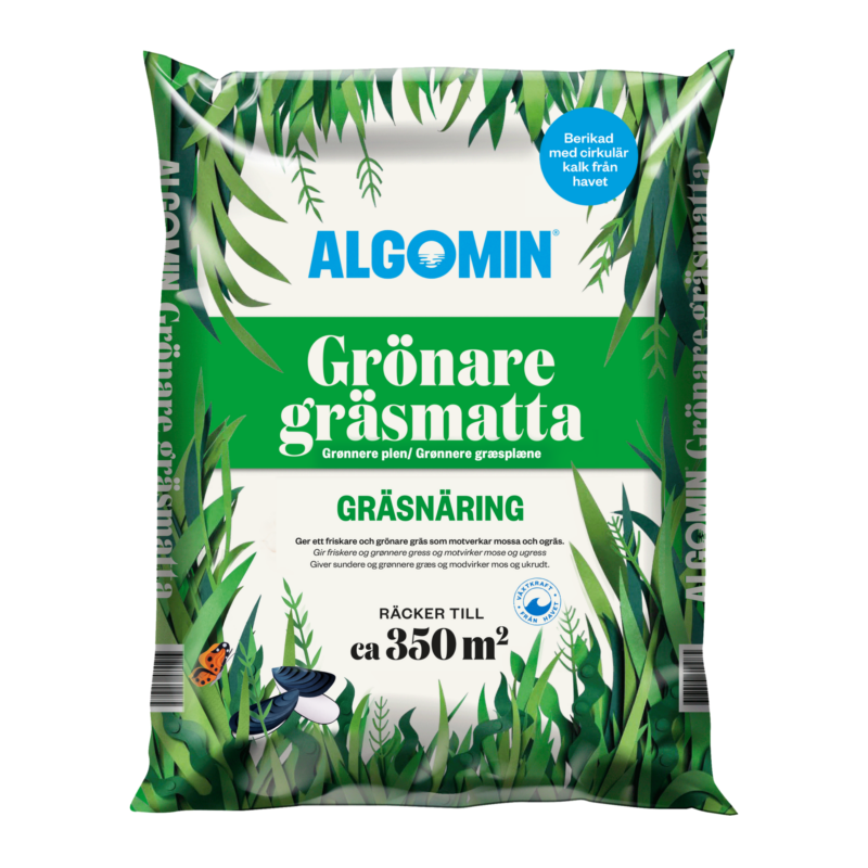 algomin