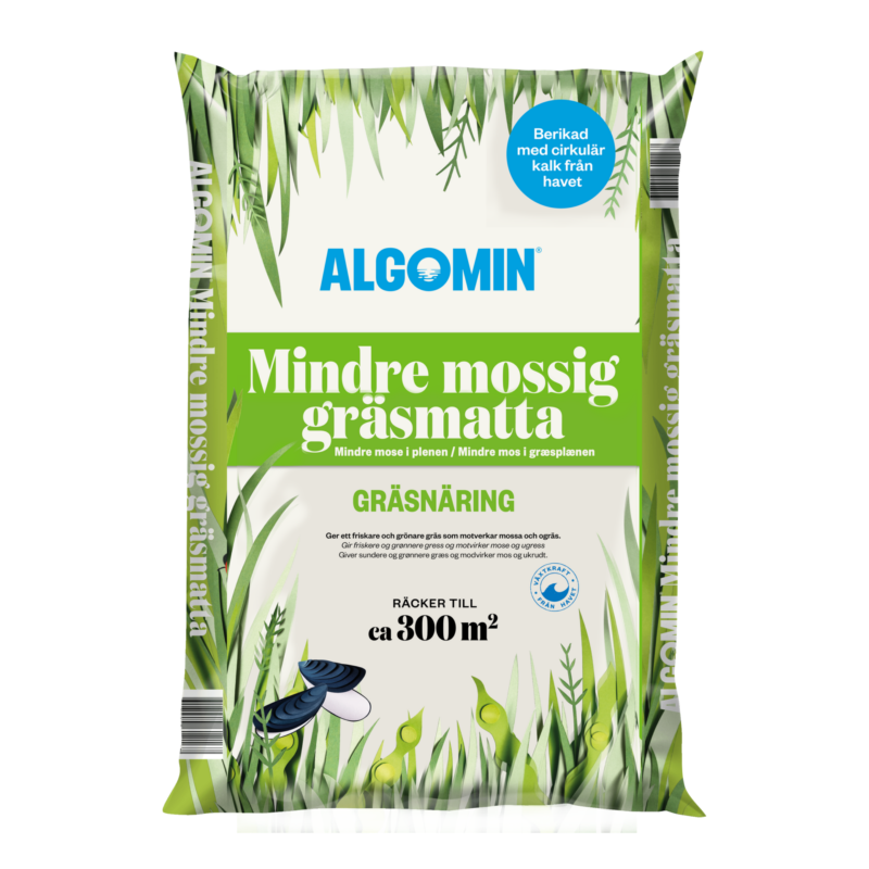 algomin